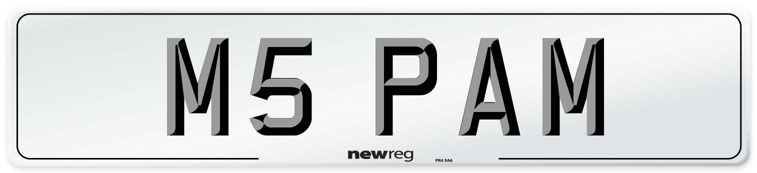 M5 PAM Number Plate from New Reg